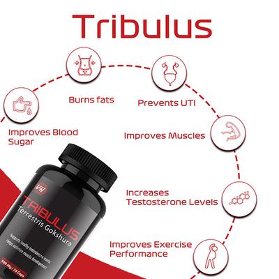 Vitaminhaat Tribulus Terrestris Gokshura 500 mg Capsule 75's - Sexual Care