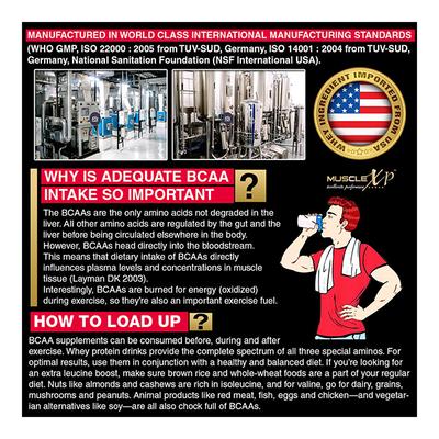 MuscleXP Instantized BCAA 6000 Supplement Powder - Orange Flavour 400 gm + Shaker 1's - Whey Proteins