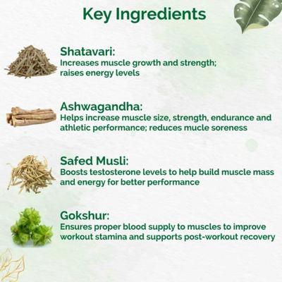 Dr. Vaidya's Herbobuild Capsule 30's - Speciality Medicines