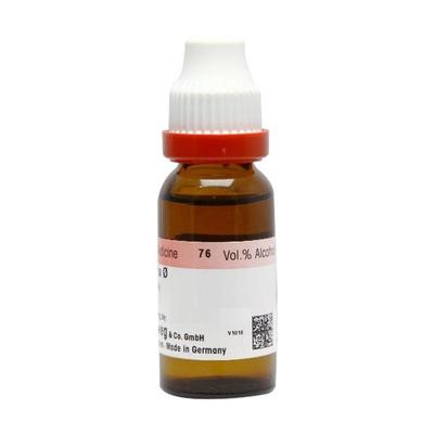 Dr. Reckeweg Ashwagandha Ø Liquid 20 ml - Mother Tincture
