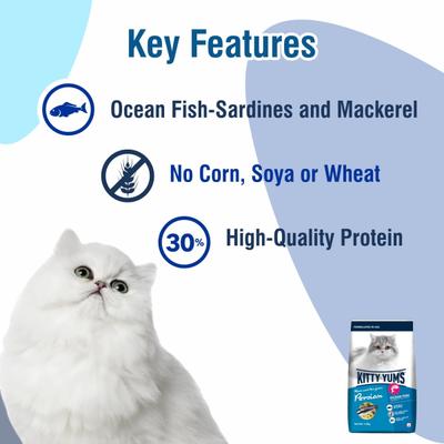 Kitty Yums Dry Persian Cat Food, Ocean Fish 1200 gm - Petfood
