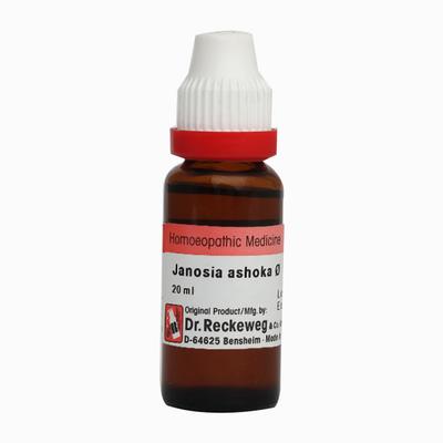 Dr. Reckeweg Jonosia Ashoka Ø Liquid 20 ml - Mother Tincture