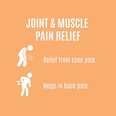 AADAR Ortho Sure Joint & Muscle Pain Relief 500 mg Capsule 60's - Health Products