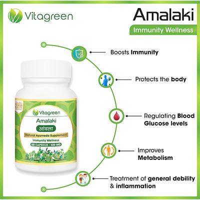 VitaGreen Amalaki Capsules 60's - Herbal Dietary Supplement