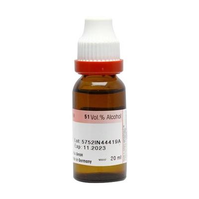 Dr. Reckeweg Salix Nig. Ø Liquid 20 ml - Mother Tincture