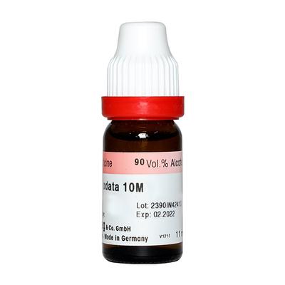 Dr. Reckeweg Calcarea Iodata 10M Liquid 11 ml - Dilutions