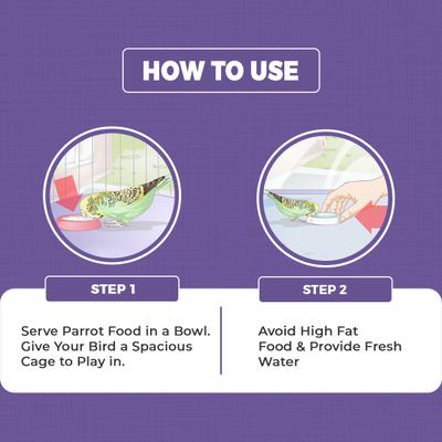 Petvit Parrot Food for Big Parrot 1000 gm - Petfood