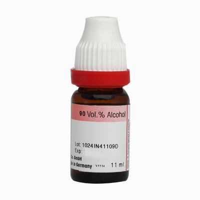 Dr. Reckeweg Acalypha Indica 30 Liquid 11 ml - Dilutions