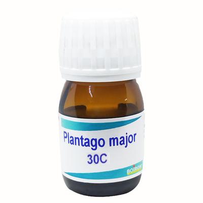 Boiron Plantago Major 30C Liquid 20 ml - Dilutions