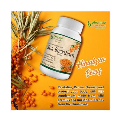 Bhumija Lifesciences Sea Buckthorn 500 mg Capsule 60's - Speciality Medicines