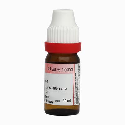 Dr. Reckeweg Lillium Tig Ø Liquid 20 ml - Mother Tincture
