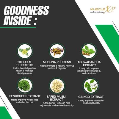 MuscleXP Muscle Builder Sports Tablet 60's - Workout Essentials