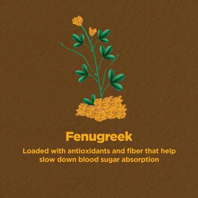 Foresta Organics Gluco Health Vegan Capsule 60's - Diabetes Care (Ayush)