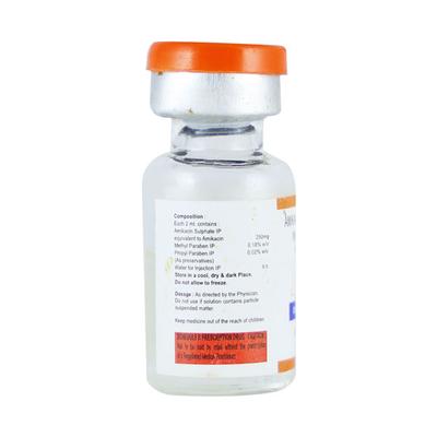MIKA 250mg Injection 2ml - Bacterial Infections-Ami