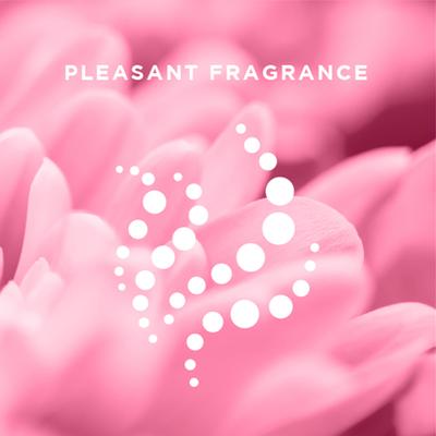 Veet Half Body Waxing Kit - Sensitive Skin Strip 8's - Hair Treatment