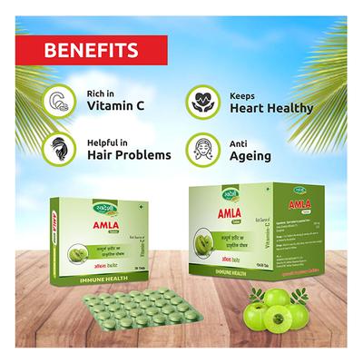 Swadeshi Ayurved Amla Tablet 30's - Health Products