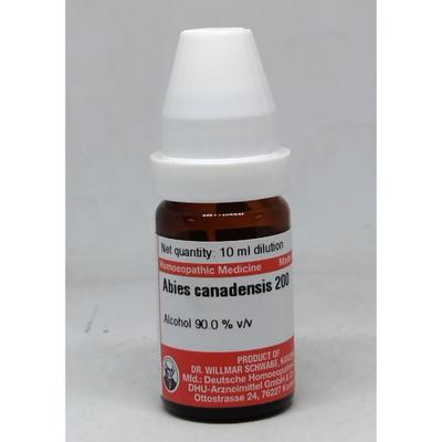 Dr. Willmar Schwabe Abies Canadensis 200 CH Drops 10 ml - Dilutions