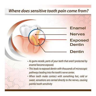 Colgate Sensitive Clove Oil Toothpaste (Pack of 2 x 80 gm) - Toothpaste