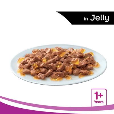 Whiskas Adult Tuna in Jelly (Pack of 85gm x 12) 1020 gm - Petfood