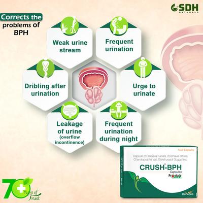 Shree Dhanwantri Herbals Crush-BPH Capsule (Pack of 4 x 10's) - Speciality Medicines