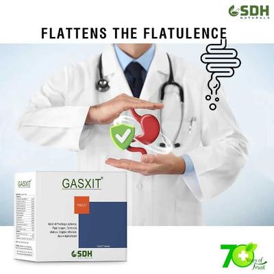 Shree Dhanwantri Herbals Naturals Gasxit Tablet 300's - Speciality Medicines
