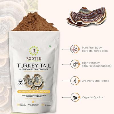 Rooted Active Naturals Turkey Tail Mushroom Extract Powder 60 gm - Pure Herbs