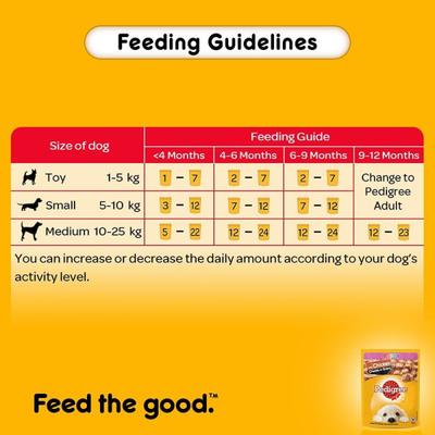 Pedigree Puppy Chicken Chunks in Gravy (Pack of 70gm x 15) 1050 gm - Petfood