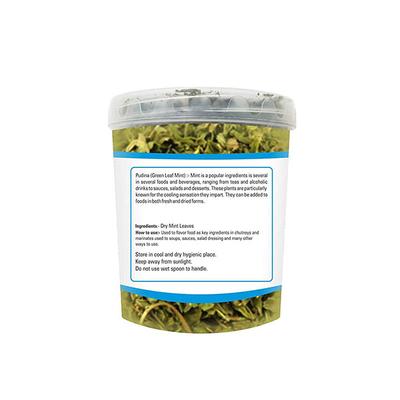 Zindagi Pudina Green Mint Dry Leaves 100 gm - Herbal Dietary Supplement