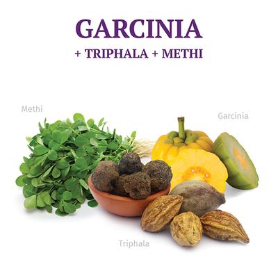 AADAR Weight No More 500 mg Capsule (Pack of 2 x 120's) - Weight Loss