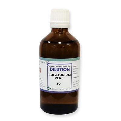 LDD Bioscience Dilution Eupatorium Perf 30 Liquid 100 ml - Dilutions