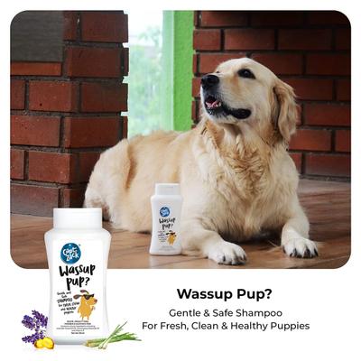 Capt. Zack Wassup Pup Gentle Shampoo (Pack of 2 x 50 ml) 1's - Pet Grooming