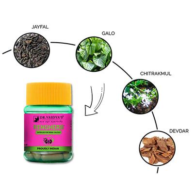 Dr.Vaidya's Renoherb Capsule (Pack of 2 x 30's) - Speciality Medicines