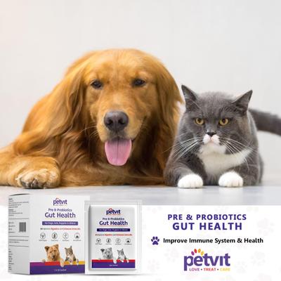 Petvit Pre & Probiotics Gut Health Powder for Dogs, Cats, Puppies & Kittens 20's - Pet accessories