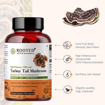 Rooted Active Naturals Turkey Tail Mushroom Veg Capsule 120's - Pure Herbs