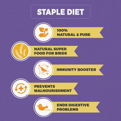 Petvit Bird Food for Cockatiel & Lovebirds Mixed Seed 1000 gm - Petfood