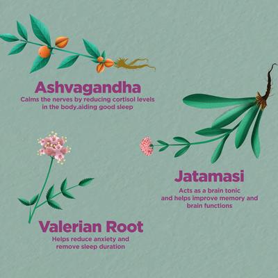 Foresta Organics Sleep Health Vegan Capsule 60's - Speciality Medicines