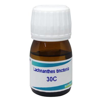 Boiron Lachnanthes Tinctoria 30C Liquid 20 ml - Dilutions