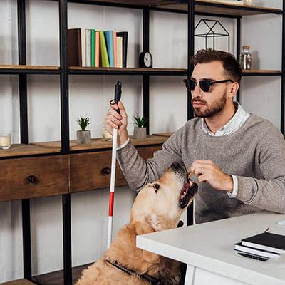 Paxmax Folding Walking Stick for Impaired Vision or Blind People - Wheelchairs & Walking Sticks