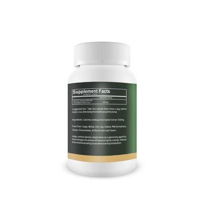 Bhumija Lifesciences Garcinia Cambogia 350 mg Capsule (Pack of 2 x 60's) - Herbal Dietary Supplement