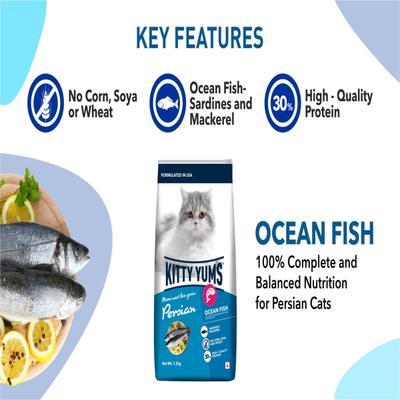 Kitty Yums Dry Persian Cat Food, Ocean Fish 1200 gm - Petfood