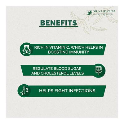 Dr.Vaidya's Amla + Giloy Juice 1 litre - Speciality Medicines