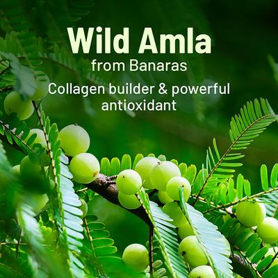Gynoveda Amla Vitamin C Face Serum 30 ml - Speciality Medicines