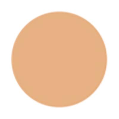 Too Faced Born This Way Super Coverage Concealer Golden Beige 13.5ml - Concealer