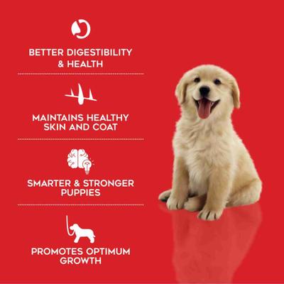 Drools Puppy Starter Dog Food 3000 gm - Petfood