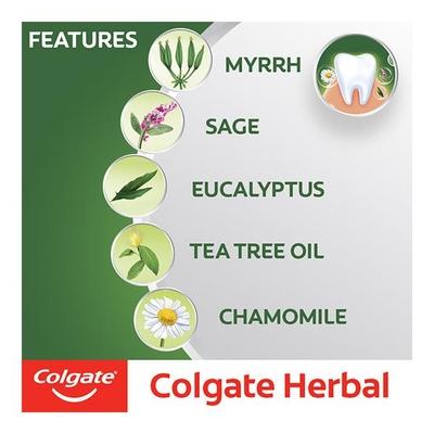 Colgate Herbal Toothpaste 200 gm - Toothpaste