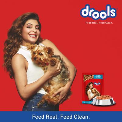 Drools Puppy Wet Dog Food, Real Chicken and Chicken Liver Chunks in Gravy, 24 Pouches (24 x 150g) 3600 gm - Petfood