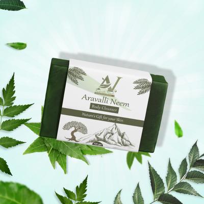 Aravalli Neem Body Cleanser 125 gm - Personal Care (Ayush)