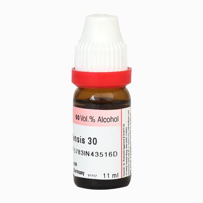 Dr. Reckeweg Sanguinaria Canadensis 30 Liquid 11 ml - Dilutions