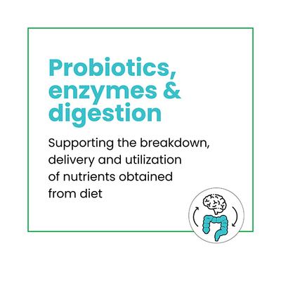 Wellbeing Nutrition Probiotic + Prebiotic Fibre Effervescent Tablet - Green Apple & Peppermint (Pack of 2 x 21's) - Digestive Health