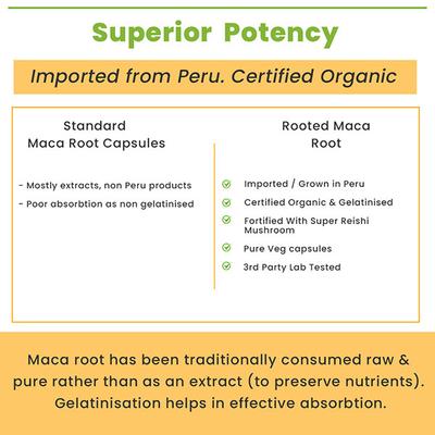 Rooted Active Naturals Maca Root Veg Capsule 90's - Sexual Healthcare